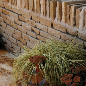 dry-fell-walling-raj-blend