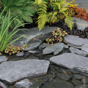 blue slate rockery