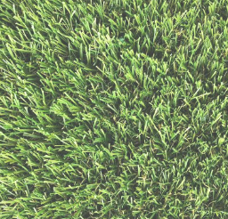 quikcgrass-ludlow