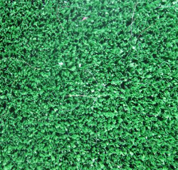 quickgrass-fairway