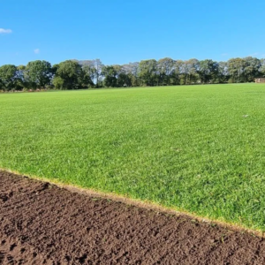 inturf-turf-laid