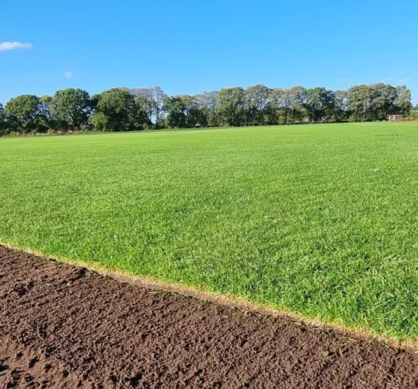 inturf-turf-laid