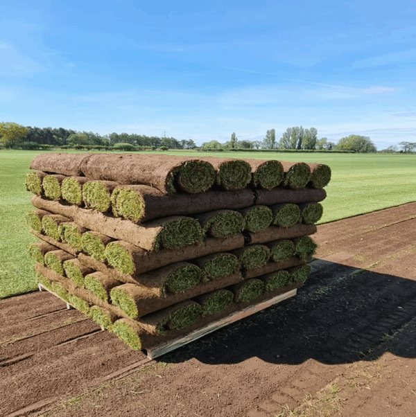 inturf-turf