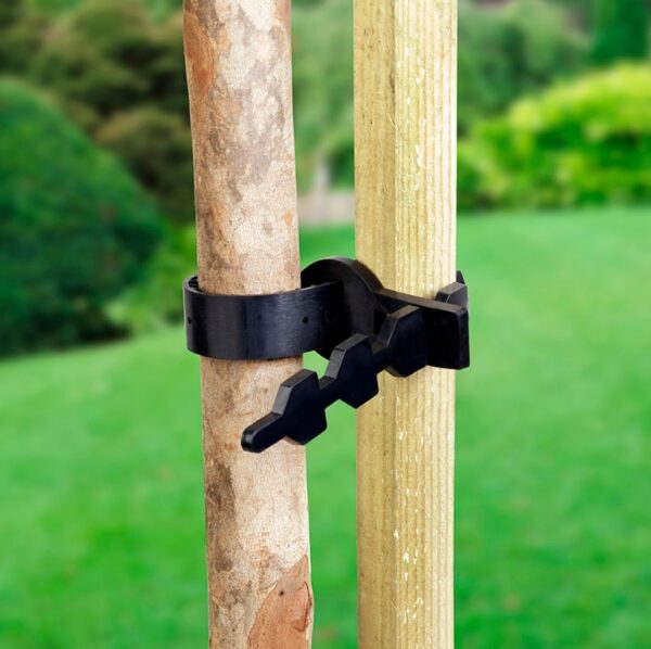 Ambassdor Tree Ties