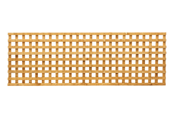BADSQ61 Cut Out Image