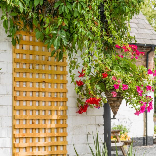 BADSQ61 Grange Trellis Square Badminton Trellis 0.61m BADSQ61 Lifestyle1
