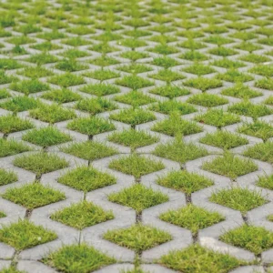 GRASSPARK