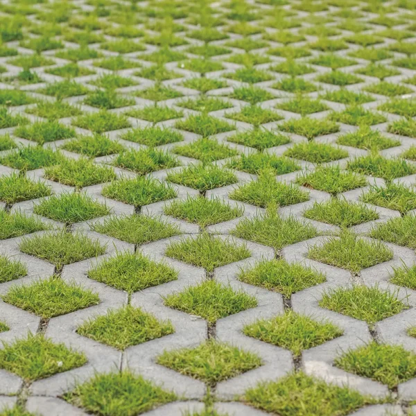 GRASSPARK