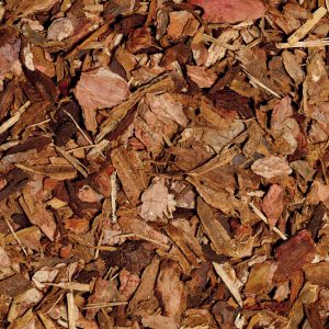 Playbark Medium Res