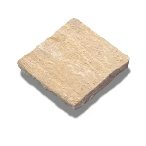 STONE SETTS Fossil 100and#215100 Swatch