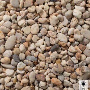 apricot dry