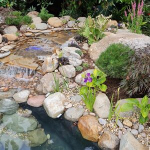 cambrian boulders lifestyle