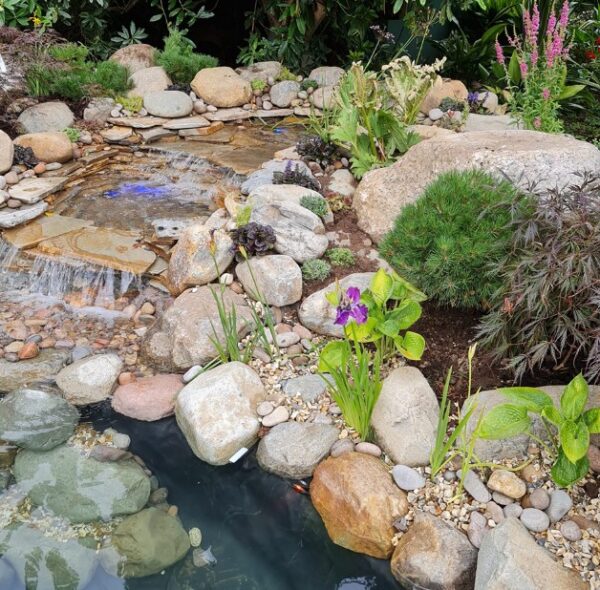 cambrian boulders lifestyle
