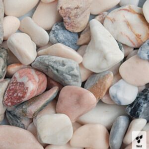 flamingo pebbles wet
