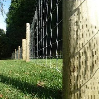 incised timber fence post 01