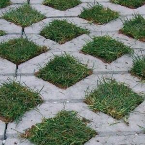 pavestone grasspark