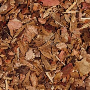 melcourt-Playbark
