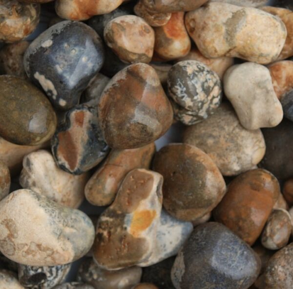 oyster pebbles 40