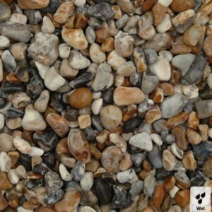 oyster pebbles wet