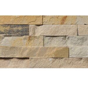 pavestone natural stone fossil
