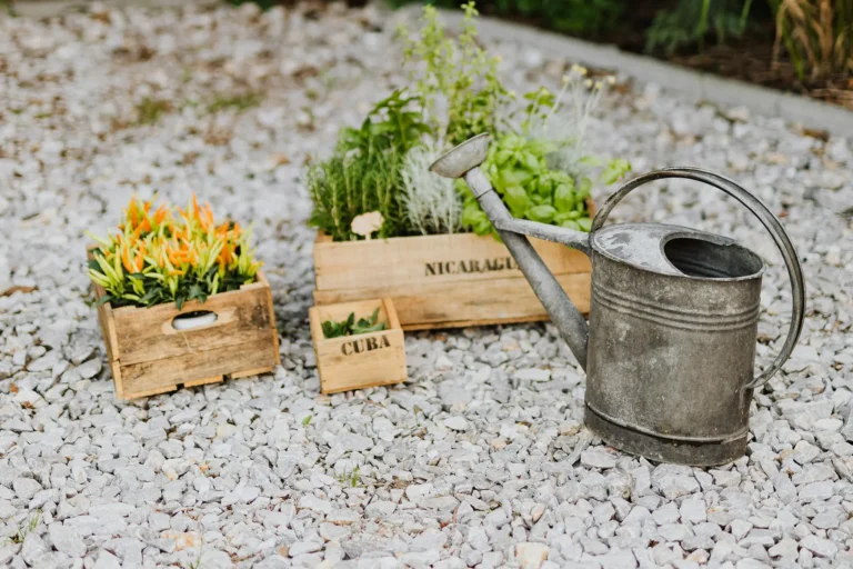 Watering Can and Pants on the Ground
